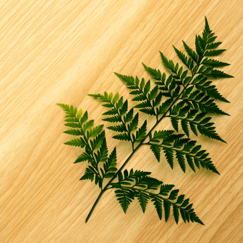 Environmentally Friendly